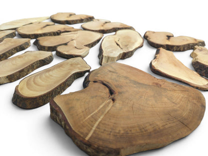 An overhead view of various natural linden wood slices with live bark edges and visible grain.