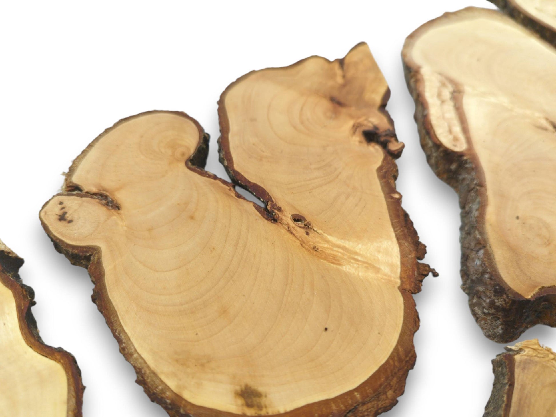 An overhead view of several light-colored wood slices with natural, irregular bark edges.