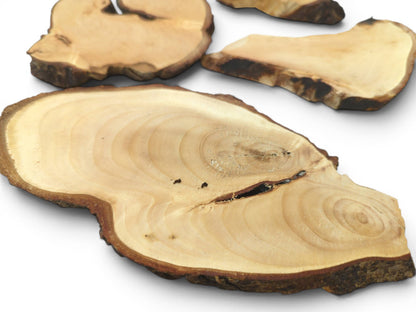 An overhead view of several light-colored linden wood slices with natural bark edges and visible cracks.
