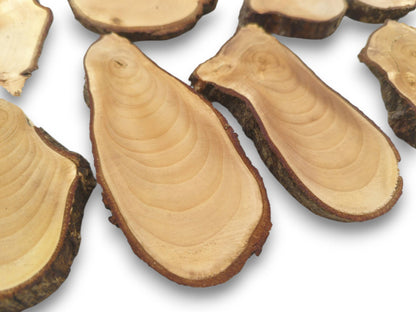 An overhead view of several light-colored linden wood slices with natural bark edges.
