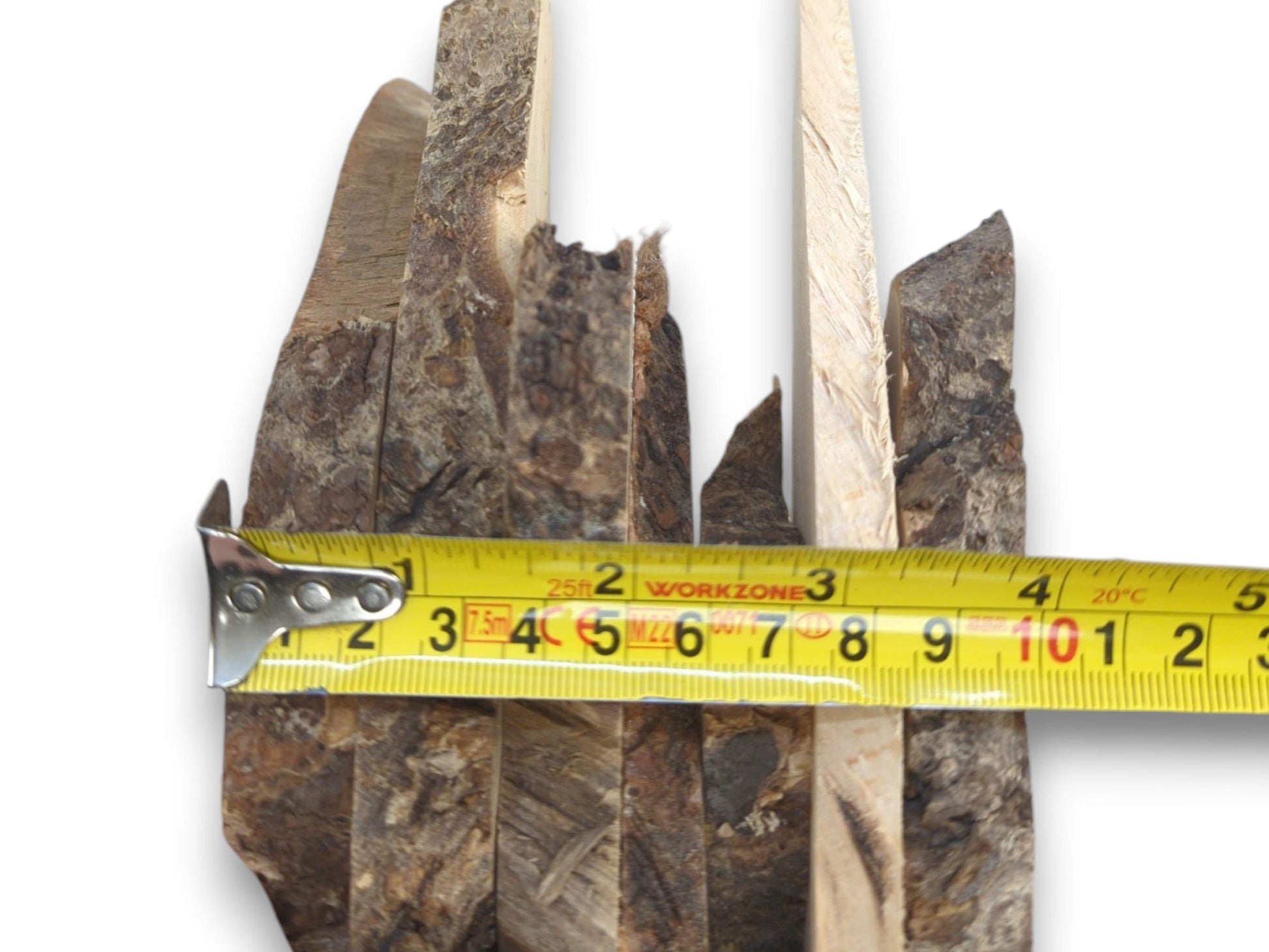 A close-up of multiple linden wood slices with natural bark edges and a measuring tape.