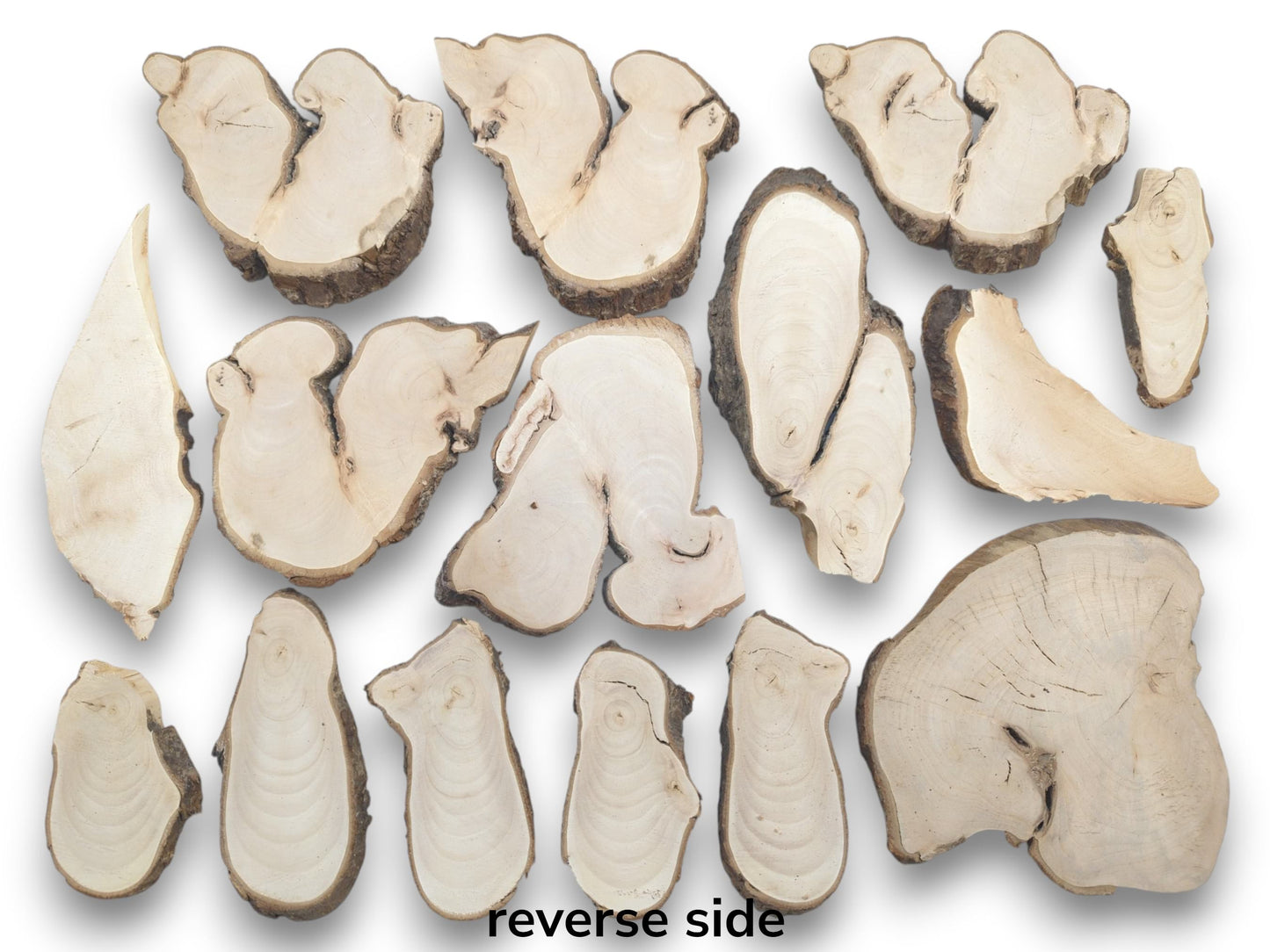An overhead view of various natural linden wood slices with bark edges and visible grain.