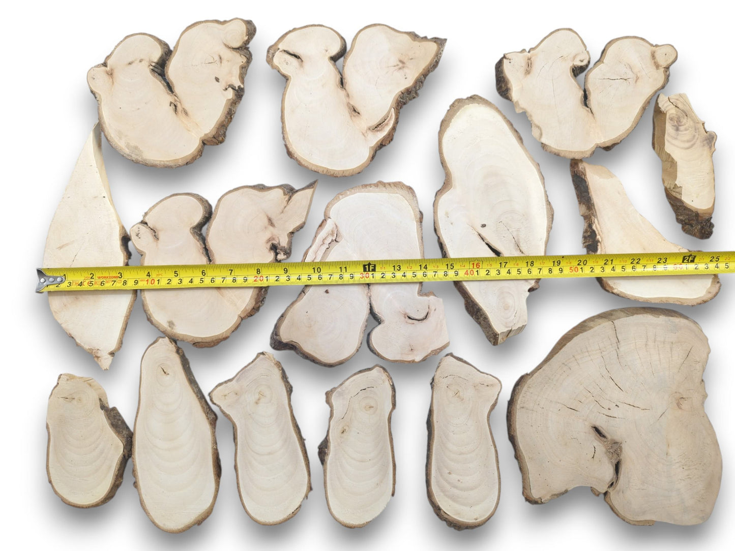 An overhead view of various light-colored linden wood slices with natural bark edges and a measuring tape.
