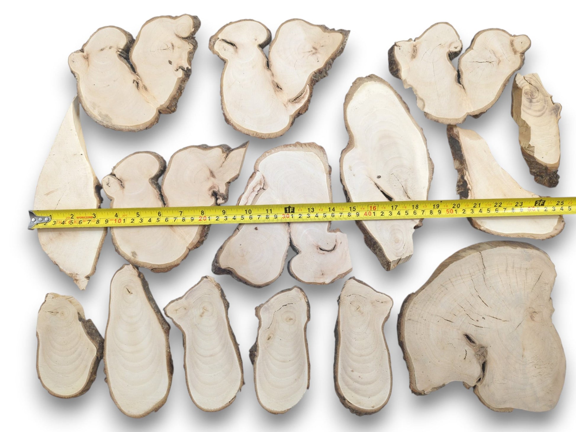 An overhead view of various light-colored linden wood slices with natural bark edges and a measuring tape.