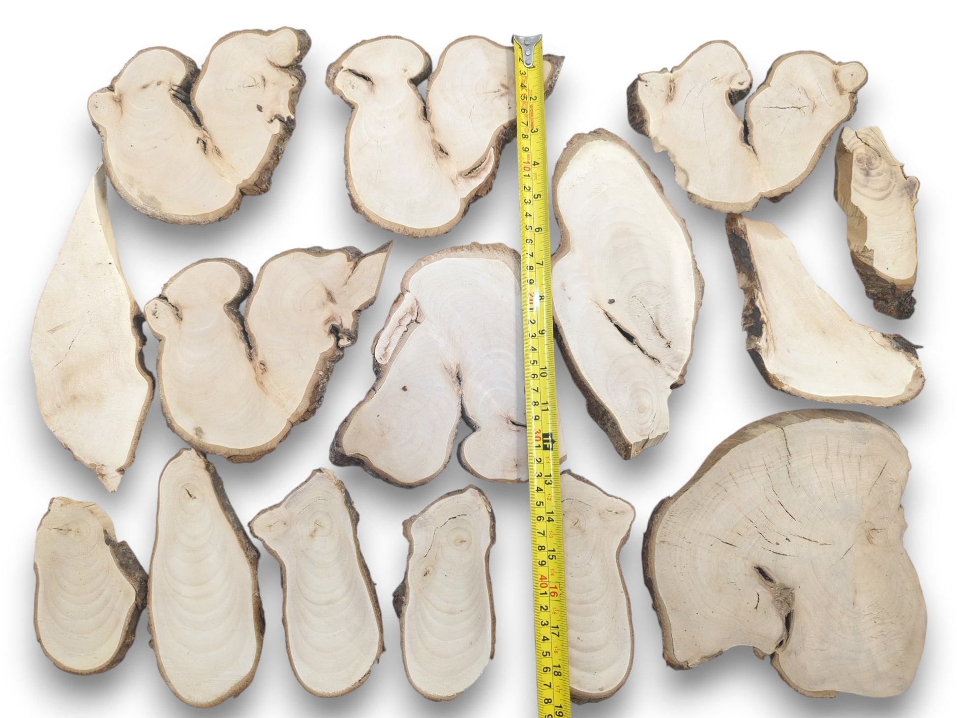 An overhead view of various light-colored linden wood slices with natural bark edges and visible grain.