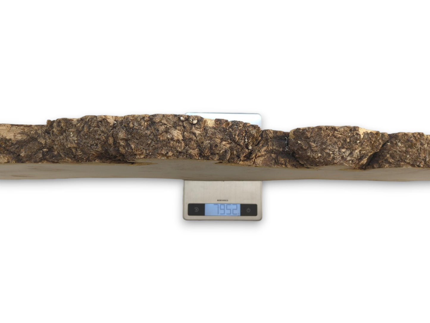 A timber slab with a thick, gnarled bark edge rests on a digital kitchen scale.