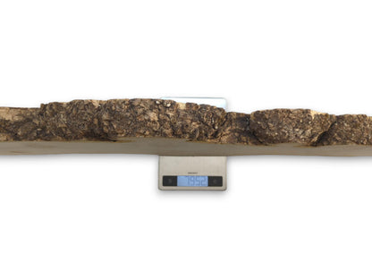 A timber slab with a thick, gnarled bark edge rests on a digital kitchen scale.