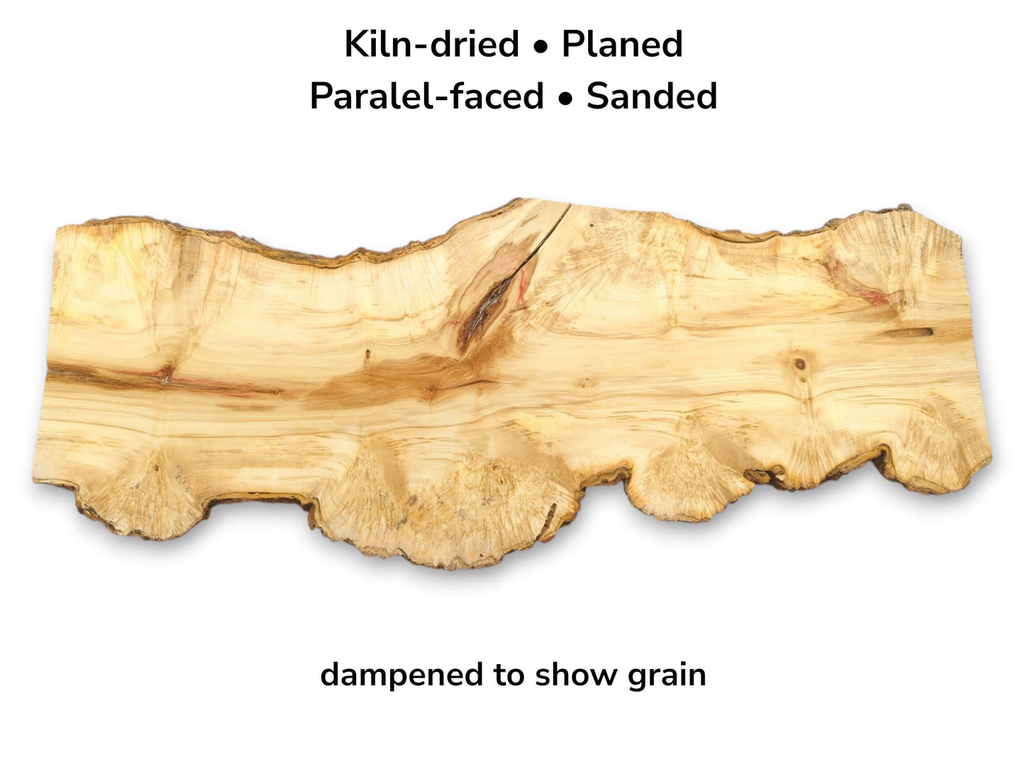 A dampened maple root plank displays sweeping grain, a dark central knot, and a gnarled edge.