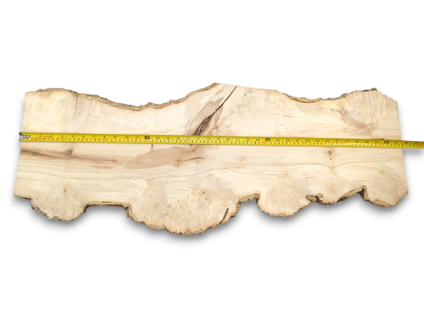 A lengthy, pale lumber plank features a scalloped bottom edge and a dark central fissure.