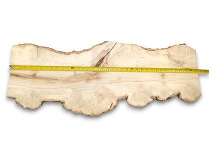 A lengthy, pale lumber plank features a scalloped bottom edge and a dark central fissure.