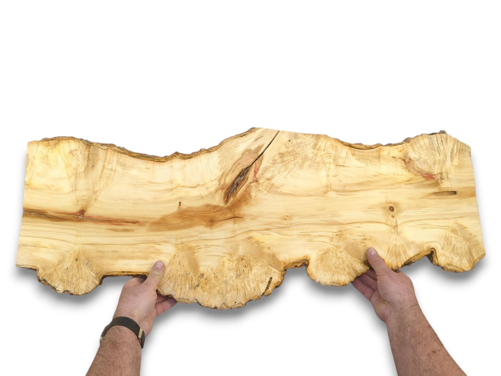 A person holds a wide maple plank, displaying its swirling grain and irregular, burled edge.