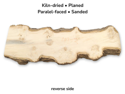 A sanded lumber slab with a scalloped bark rind, small burls, and a blue-grey streak.