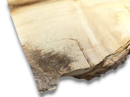 A pale wood section's corner shows a dark, spalted area and a distinct surface cut.