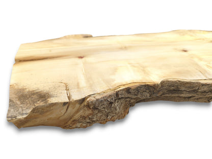 A low perspective across a pale timber plank shows a cracked corner and gnarled bark.