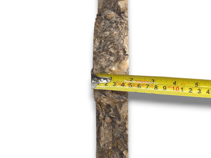A yellow tape measure shows the width of a vertical timber with rough, craggy bark.