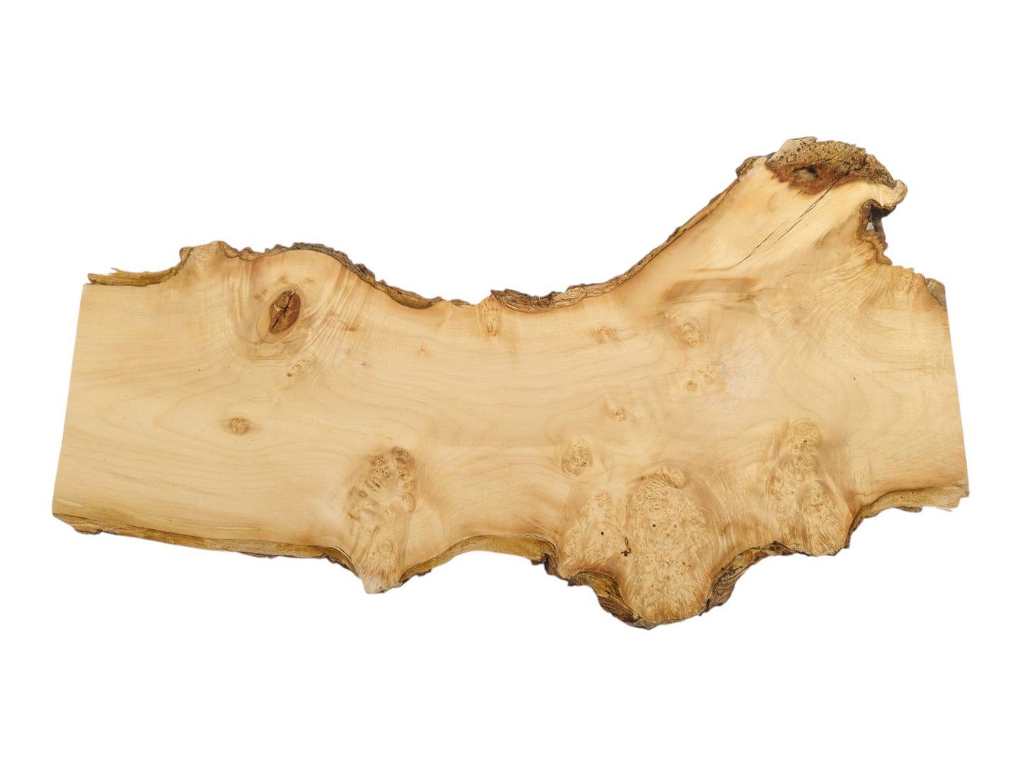 A pale timber slab displays prominent burl clusters, a dark live edge, and one straight-cut side.