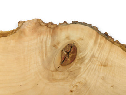 Pale timber grain swirls around a central, star-shaped fissure in a dark, reddish knot.