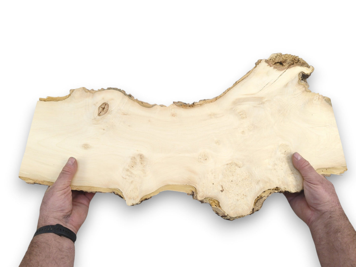 A long, pale wood plank with a rugged, undulating live edge is held by two hands.