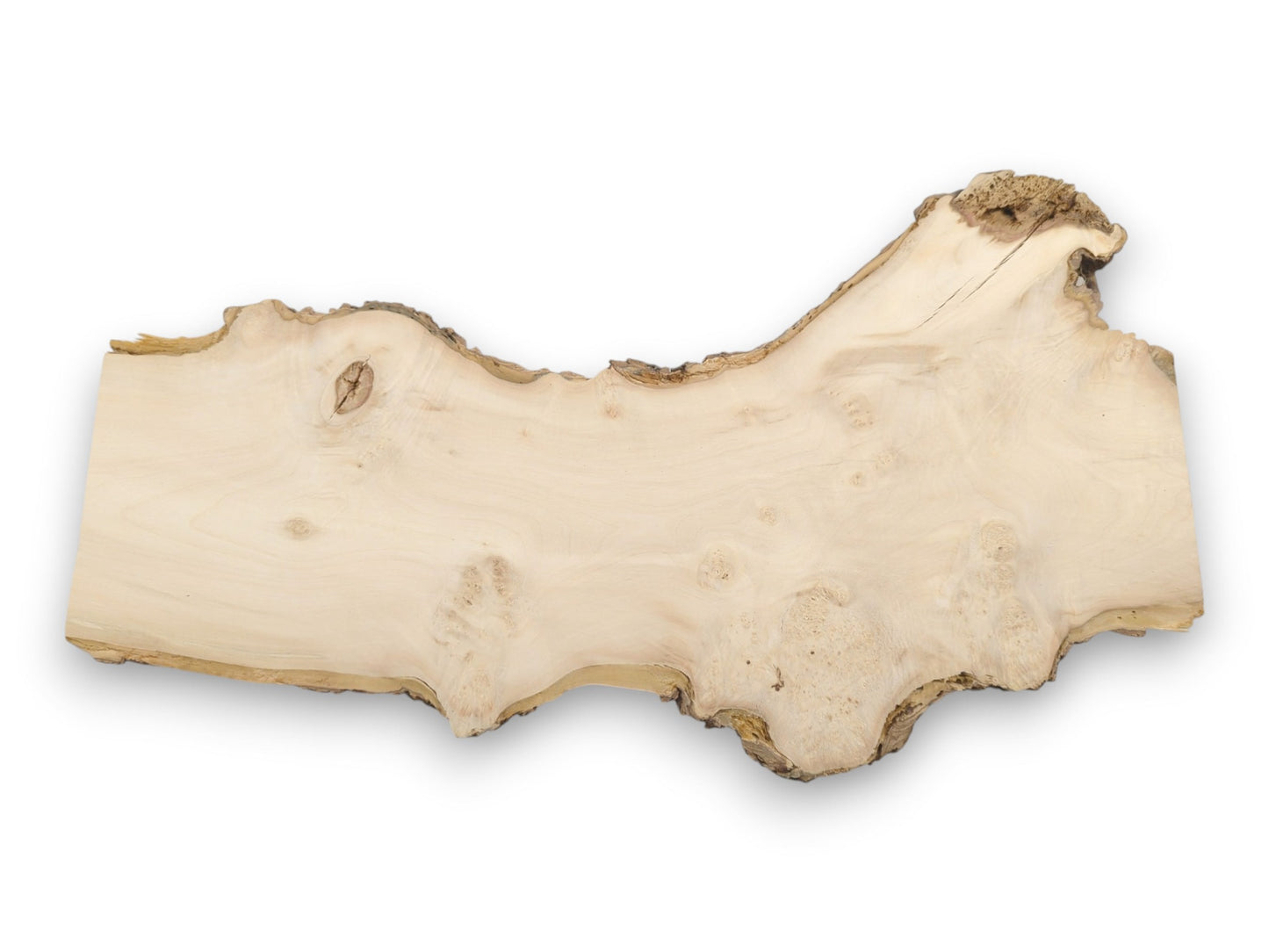An overhead view of a pale, raw-edged timber piece with swirling grain and knots.