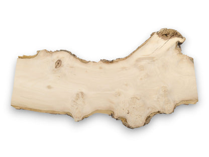 An overhead view of a pale, raw-edged timber piece with swirling grain and knots.