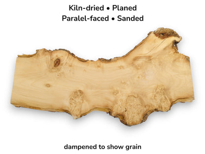 A light-hued lumber section with a gnarled perimeter displays swirling grain and burl figuring.