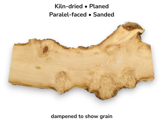 A light-hued lumber section with a gnarled perimeter displays swirling grain and burl figuring.