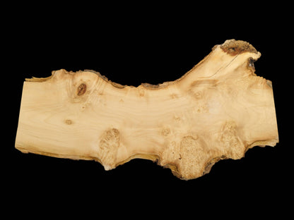 A pale, unfinished wood section displays clustered burls and a single dark, cracked knot.