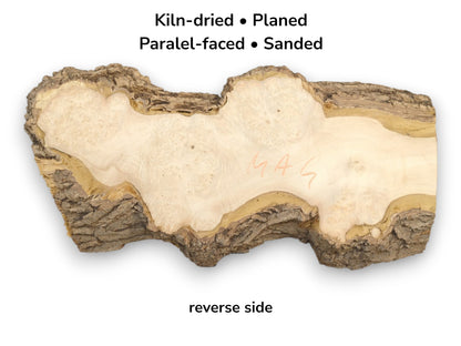 A sanded timber piece shows pale burl figuring surrounded by a thick, craggy bark.