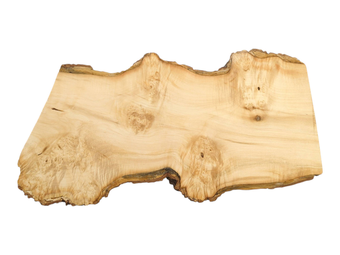 Multiple eye-like burl patterns swirl across the light-toned surface of this raw-edged wood slab.