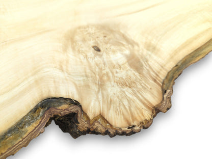 A pale timber cut displays shimmering, fan-like grain flowing toward a dark, textured live edge.