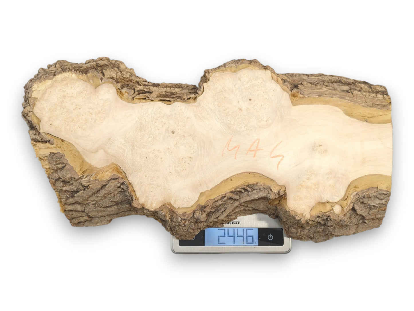 A raw burl section with orange writing rests on a digital scale reading 2446.