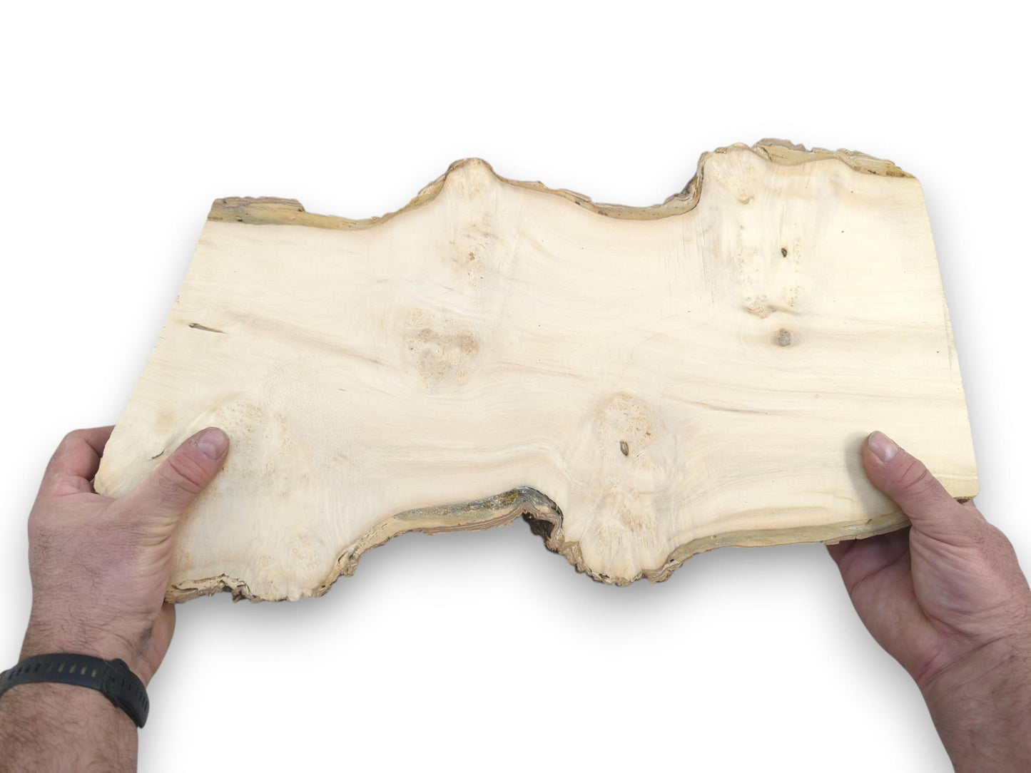 Held by two hands, a pale maple board displays clustered knots and an uneven perimeter.