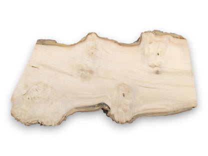 An irregularly shaped timber piece has a smooth, pale surface and a dark, undulating border.