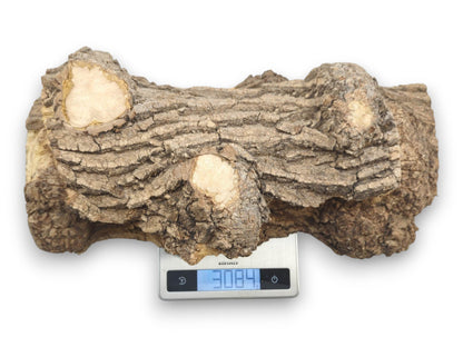 A long, gnarled maple burl with cut knots sits on a digital scale reading 3084.