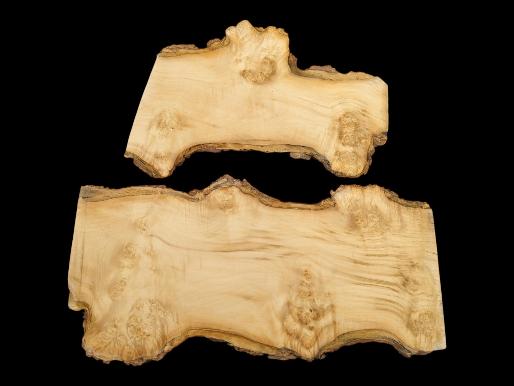 Two pale, planed maple burl pieces display intricate knot clusters and dark, textured live edges.