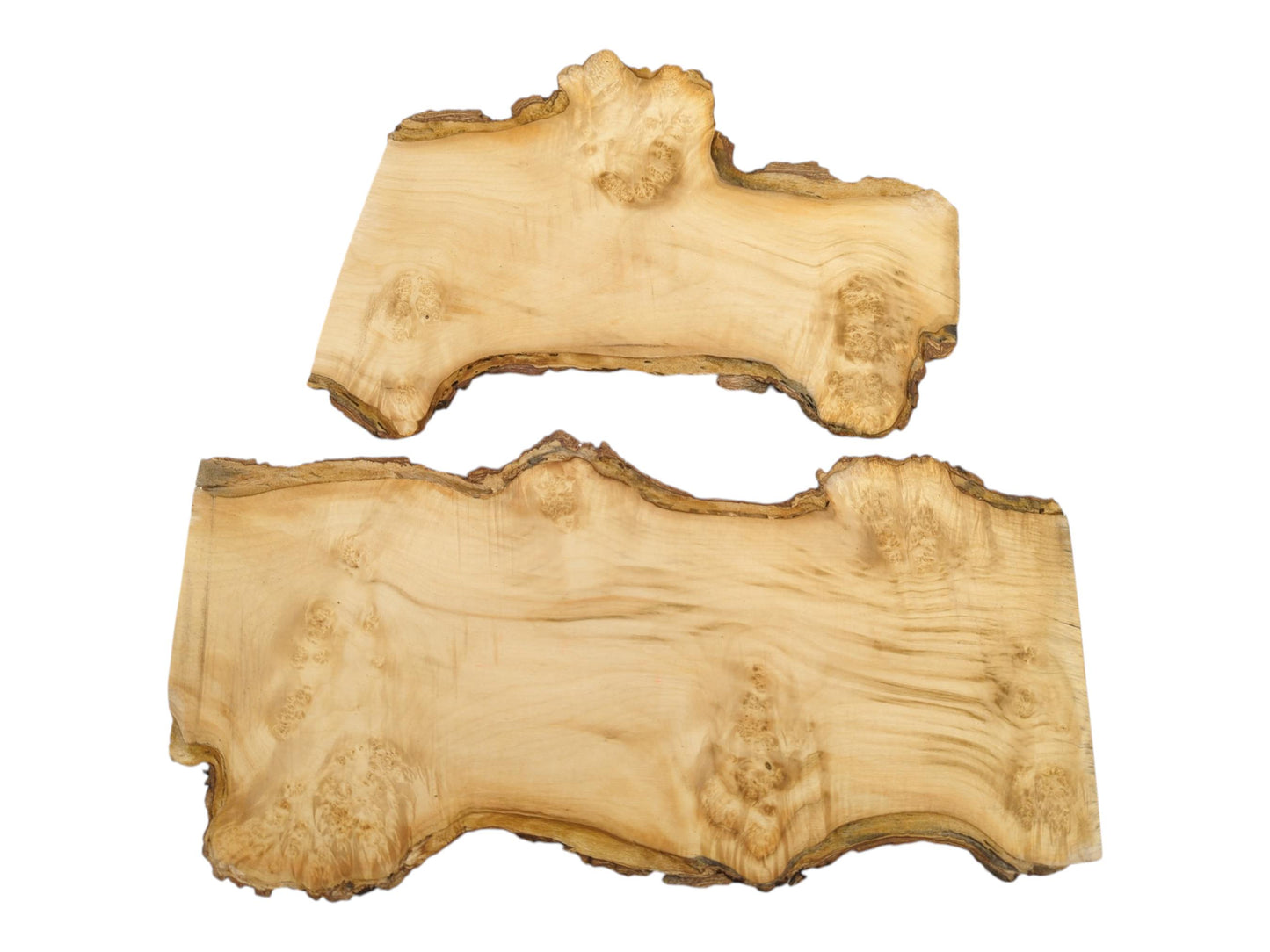 Two smooth, pale lumber pieces display clustered burl patterns and rugged, bark-lined natural edges.
