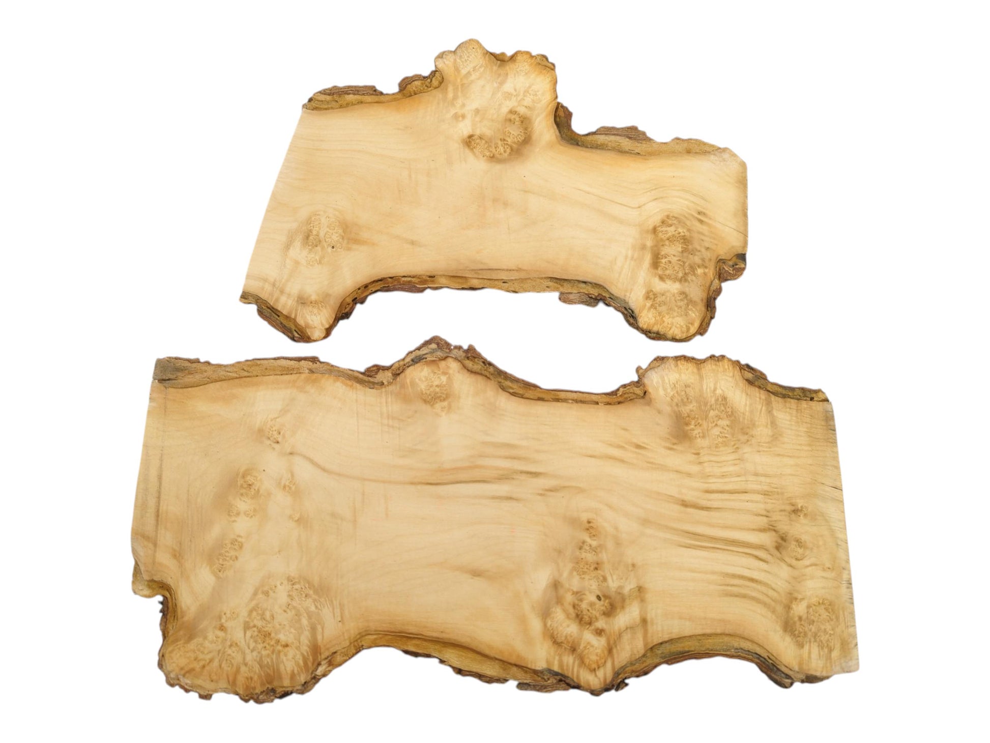 Two smooth, pale lumber pieces display clustered burl patterns and rugged, bark-lined natural edges.