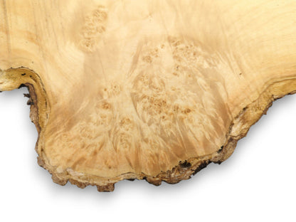 A pale maple burl timber displays intricate figuring and a dark, craggy live edge.