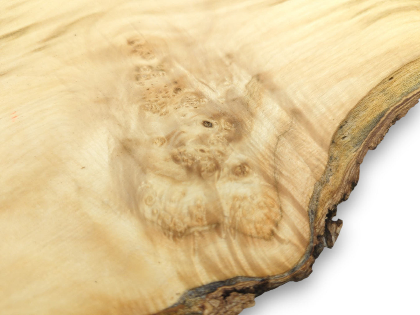 A smooth, pale timber section displays swirling grain around a burl and a dark, natural rind.