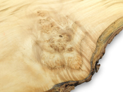 A smooth, pale timber section displays swirling grain around a burl and a dark, natural rind.