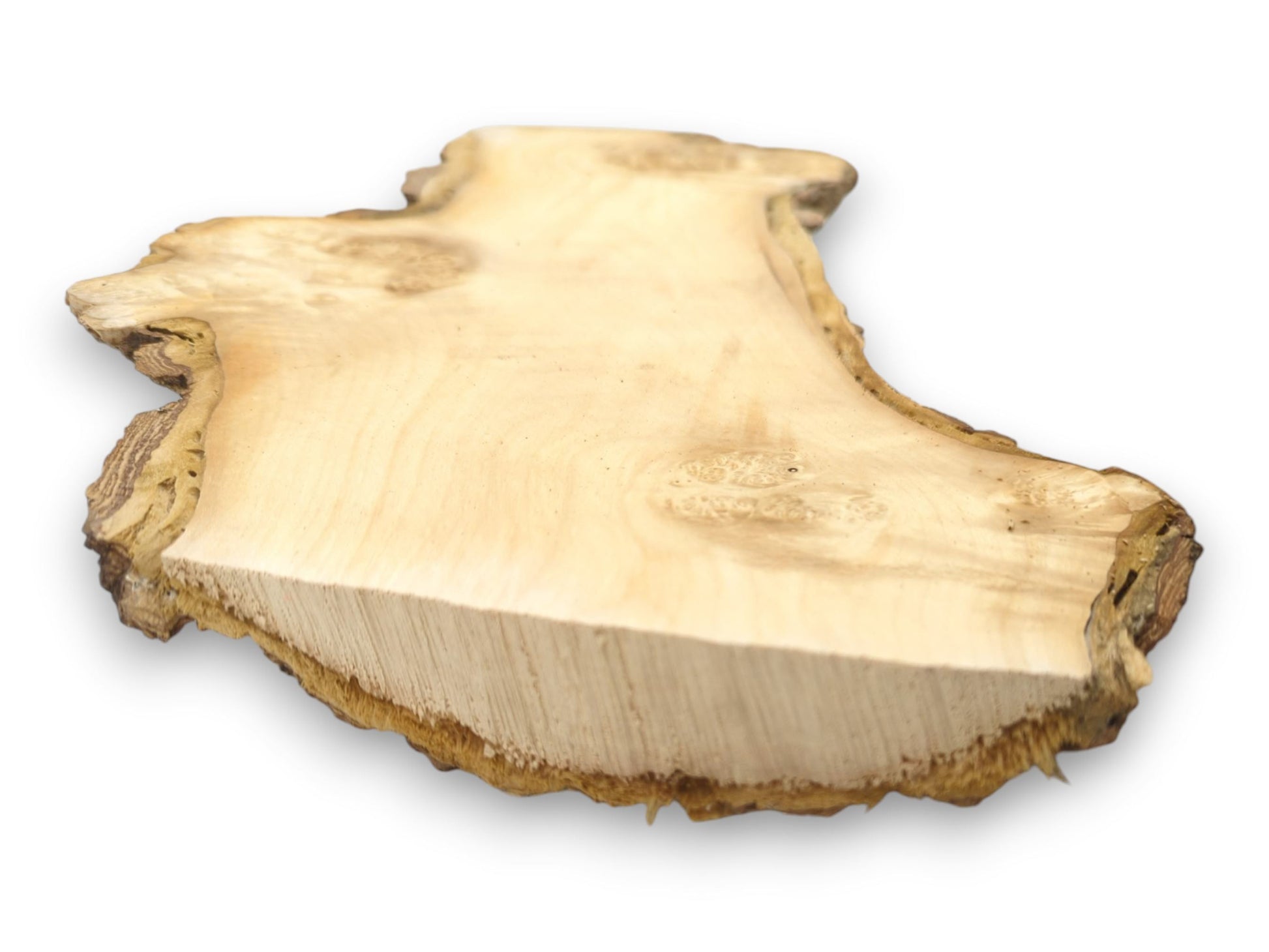 A thick maple burl slab contrasts its smooth, pale surface with a rough-sawn edge.