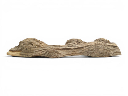 A low-profile wood slab contrasts its cracked, undulating bark with a smooth, planed underside.