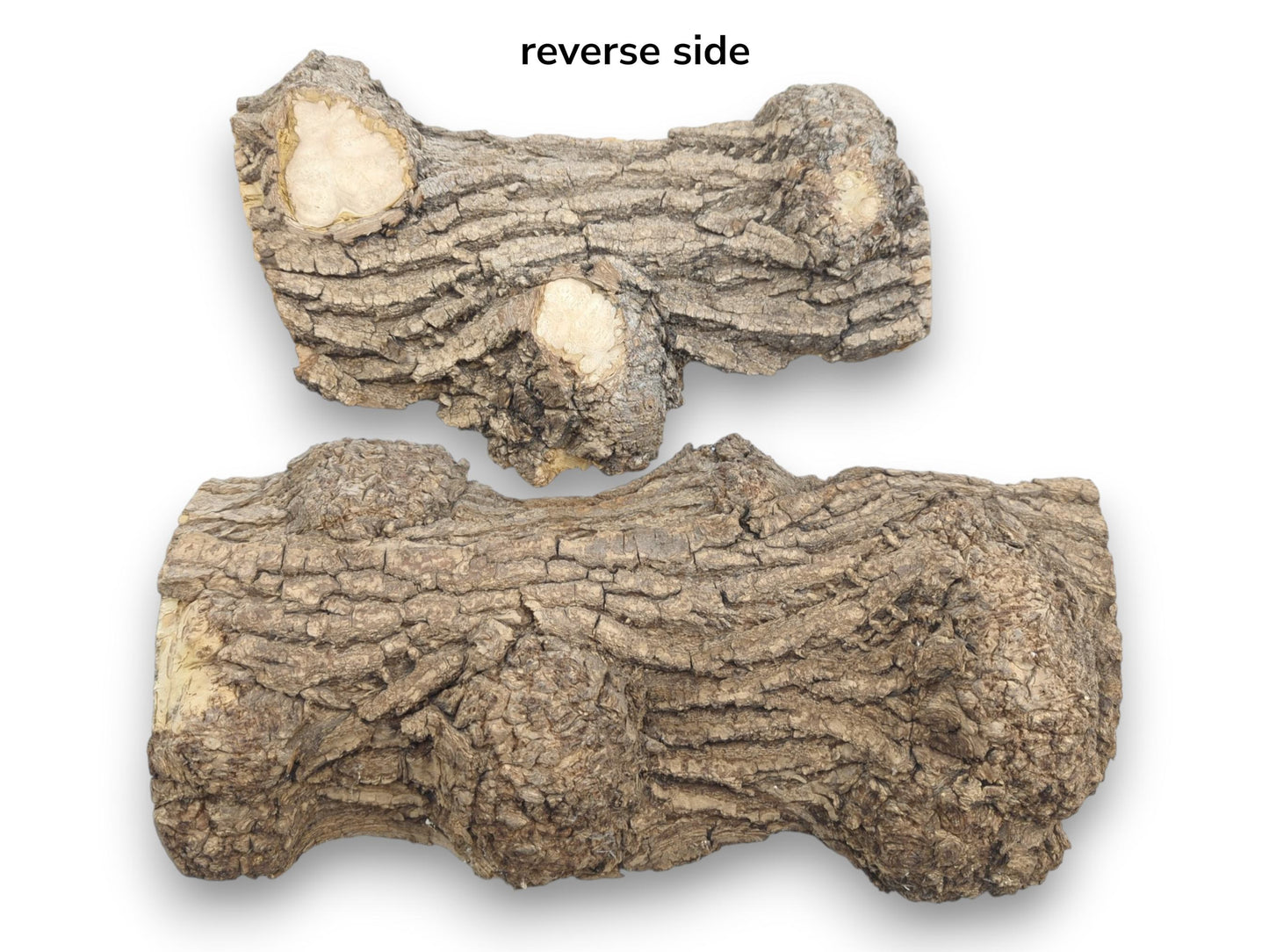 Two gnarled maple burl segments display deeply furrowed bark and several pale, cut knots.