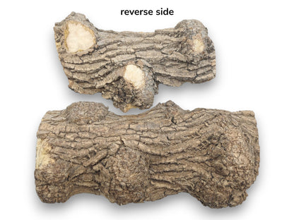 Two gnarled maple burl segments display deeply furrowed bark and several pale, cut knots.