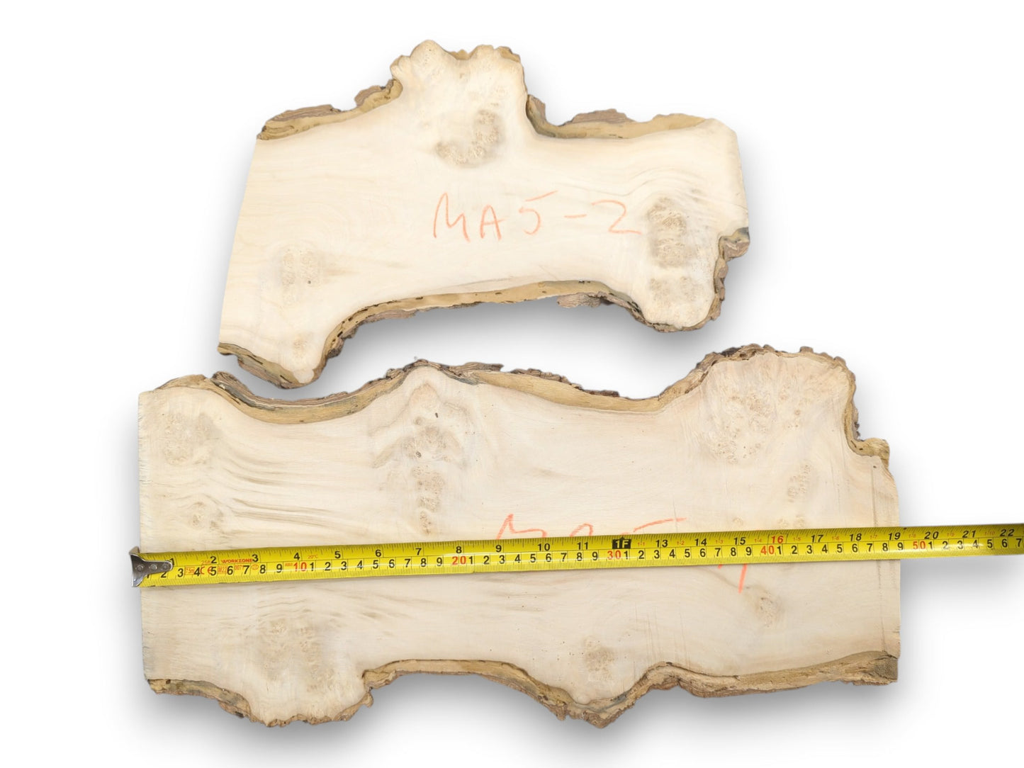 An overhead view of two pale maple burl slabs, a yellow tape measuring the bottom piece.