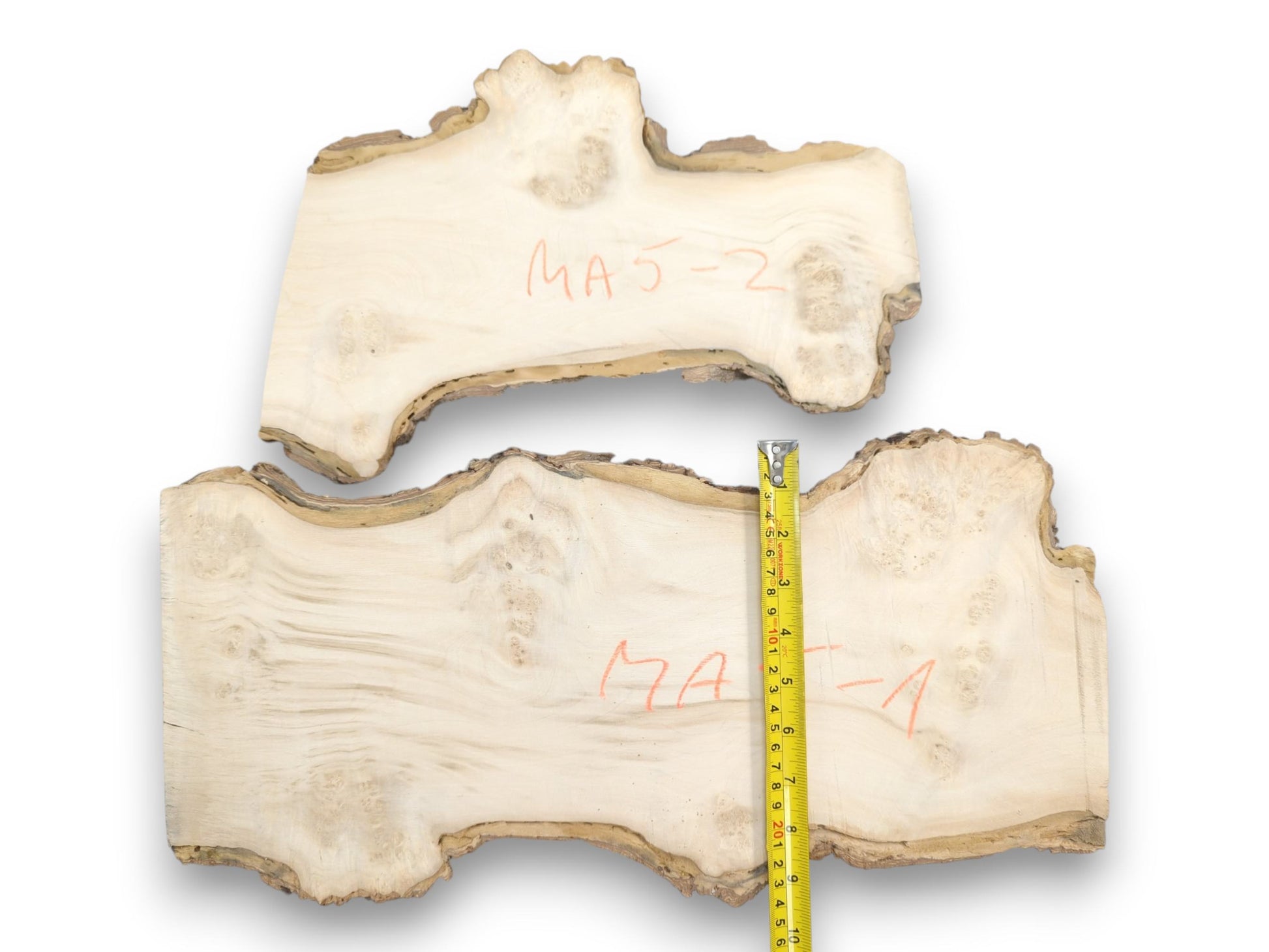 Two pale, live-edge burl sections with red crayon markings are displayed with a tape measure.