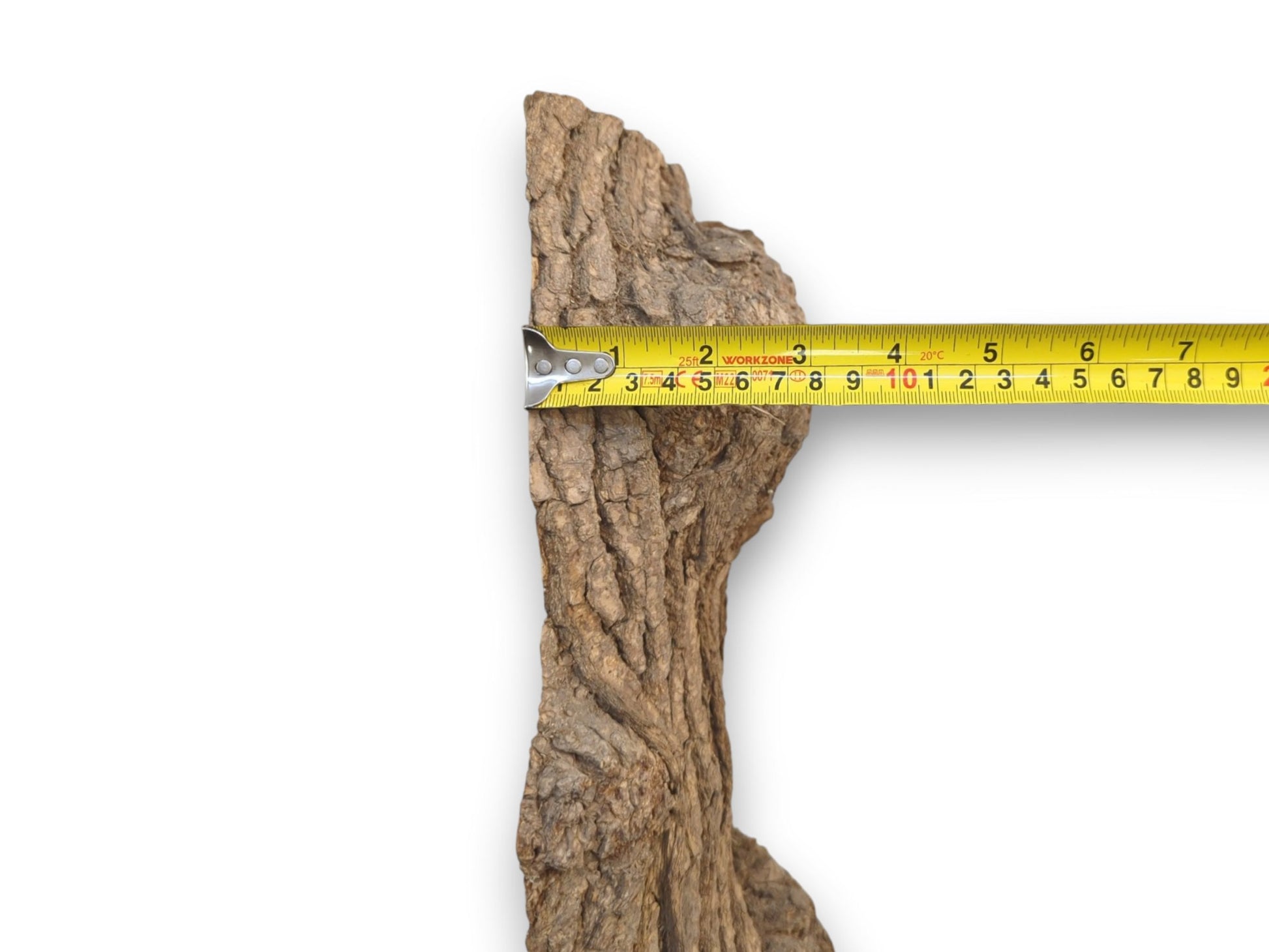 A yellow tape measure is held across a vertical wood slab with deeply fissured bark.
