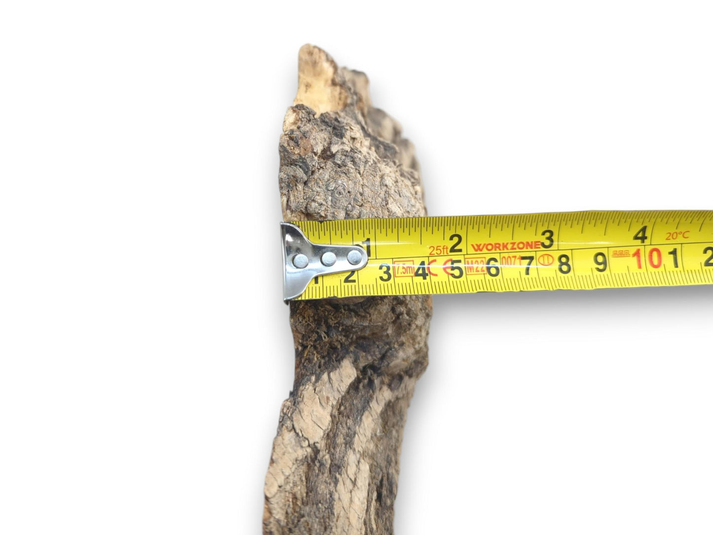 A yellow tape measure gauges the width of a vertical timber piece with rugged bark.