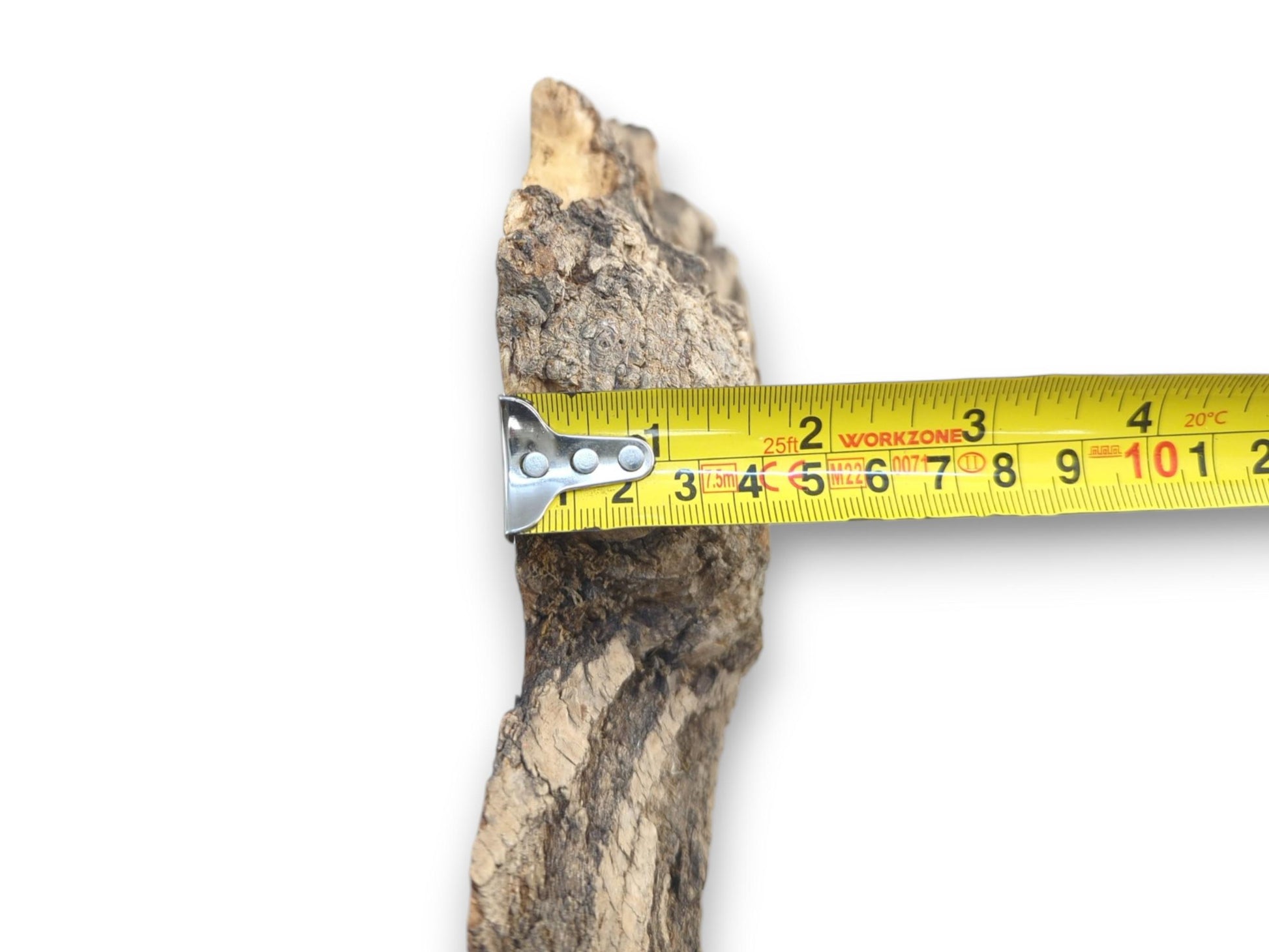A yellow tape measure gauges the width of a vertical timber piece with rugged bark.