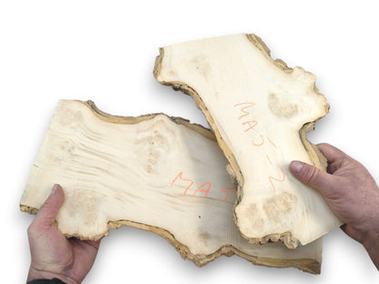 Hands hold two pale, sanded maple burl slabs with orange writing and natural bark edges.